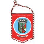 Galhardetes e guiões